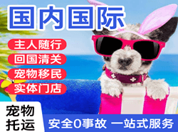 太原机场物流国际宠物托运 【国